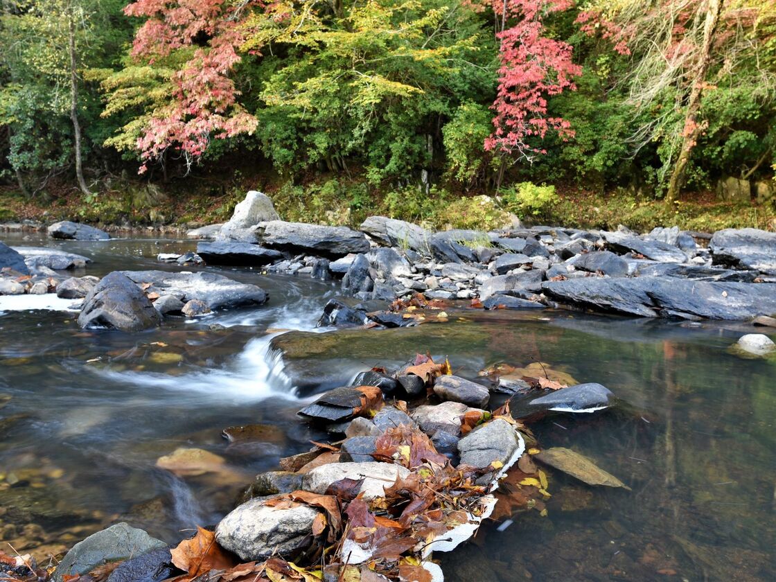 Eno River.519 3104 2