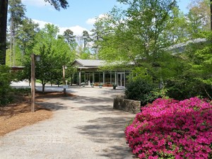 Board News - April 2018